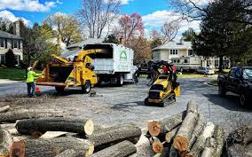 Best Tree Trimming and Pruning  in Wilsons Mills, NC